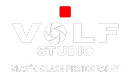 volfstudio.sk
